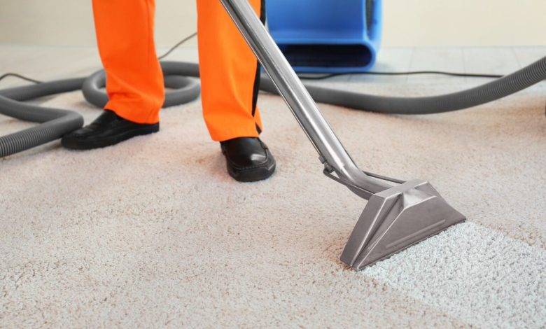 Carpet Cleaning: DIY vs Professional Services Carpet Cleaning: DIY vs Professional Services