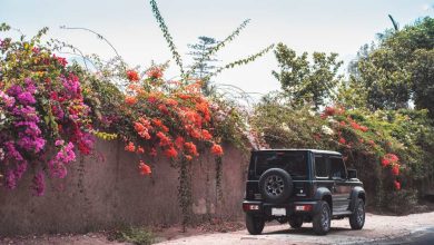 Unveiling the Secrets of Restoring a Worn-Out Jeep Hardtop