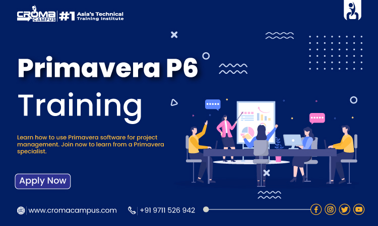 Primavera-P6-Training