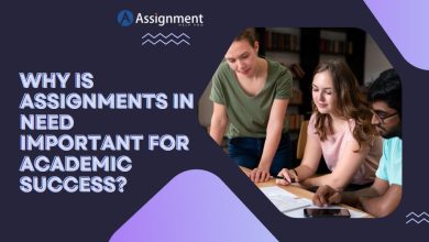 Assignments in Need Important for Academic