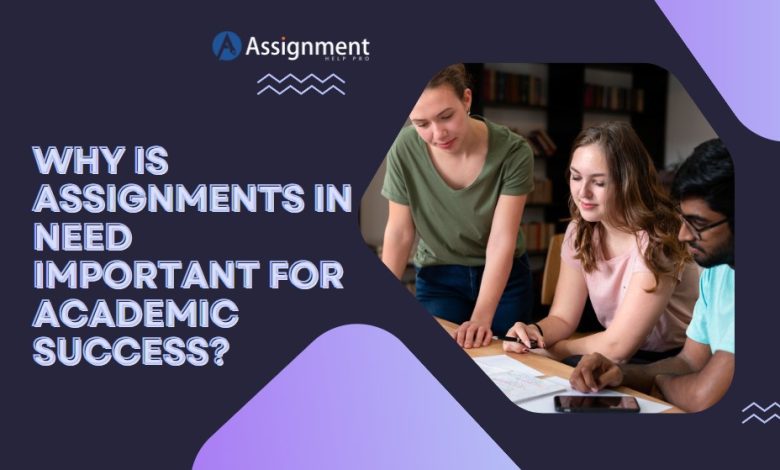 Why Is Assignments in Need Important for Academic Success?
