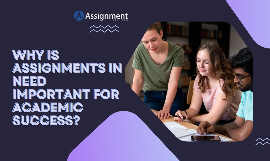 Assignments in Need Important for Academic