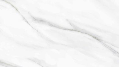 Why Designers Can't Get Enough of Calacatta Evora's Unique Veining