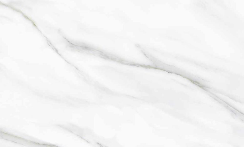 Why Designers Can’t Get Enough of Calacatta Evora’s Unique Veining?