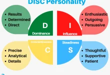 Disc Model Personality Test