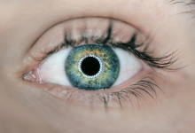 Eye Diseases