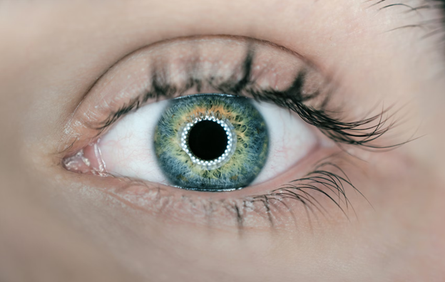 Eye Diseases