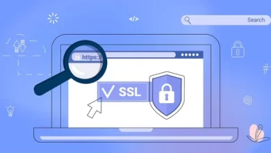 SSL Monitoring