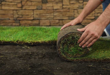 What to Expect from Professional Sod Installations