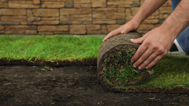 What to Expect from Professional Sod Installations