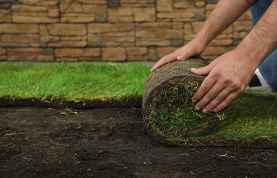 What to Expect from Professional Sod Installations